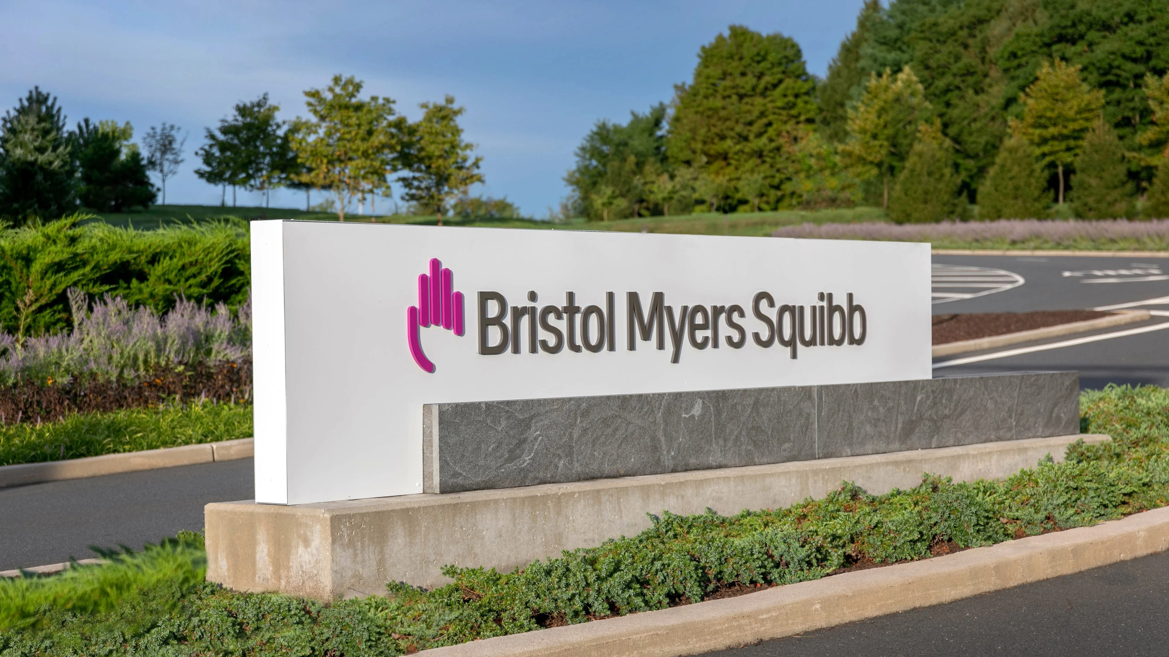 Bristol Myers Squibb’s Opdivo-Plus-Chemotherapy Regimen for Classical Hodgkin Lymphoma Receives FDA Priority Review 2 Bristol Myers Squibb’s Opdivo-Plus-Chemotherapy Regimen for Classical Hodgkin Lymphoma Receives FDA Priority Review