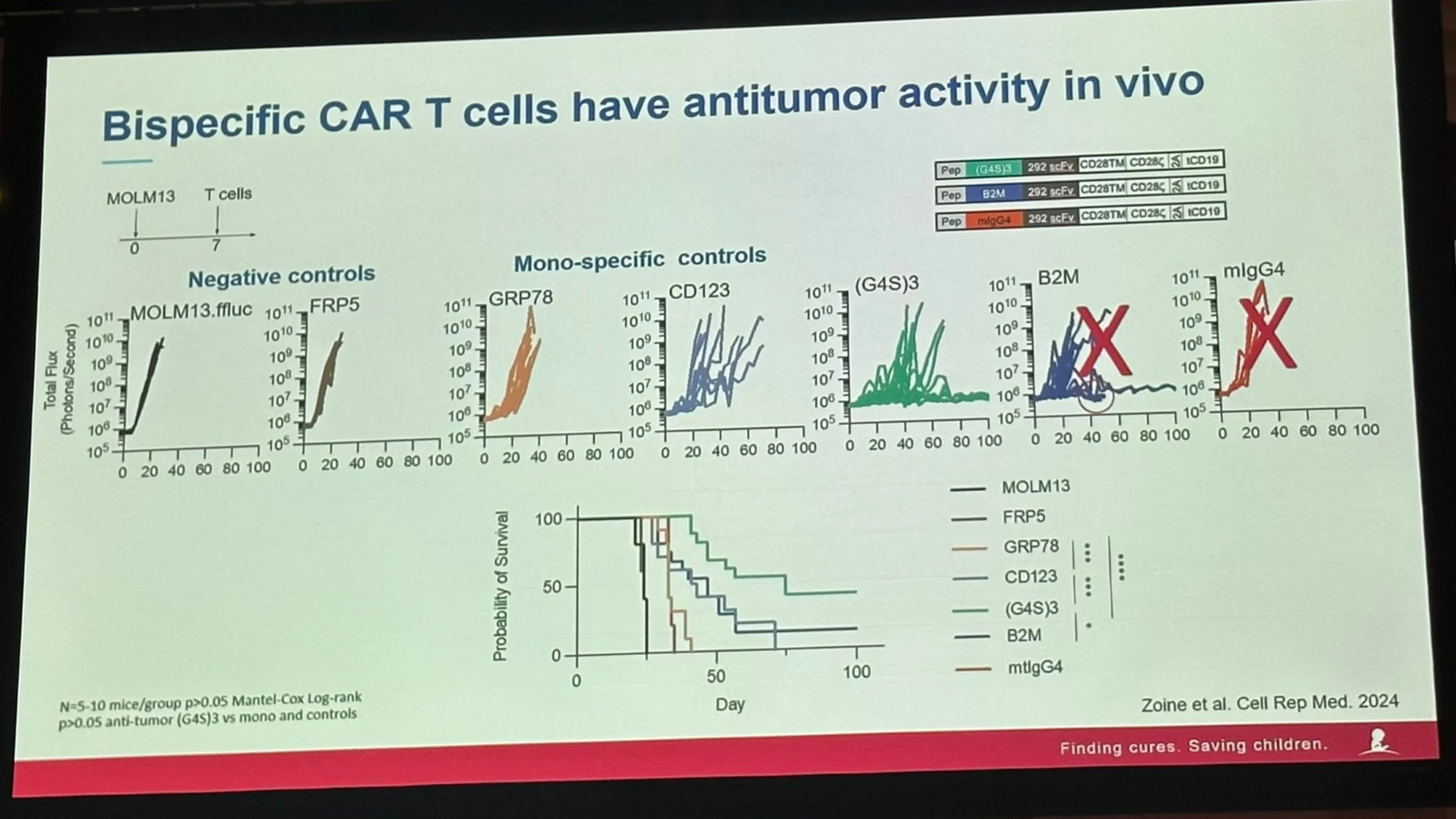 Rabi Hanna: Paulina Velasquez Highlights CAR T Cell Strategies in AML at ASH25