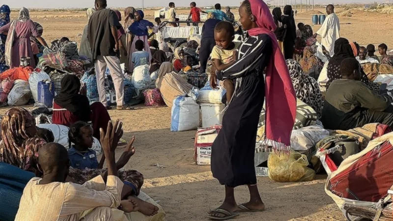 Tedros Adhanom Ghebreyesus Calls for the Release and Protection of Health Workers in Sudan