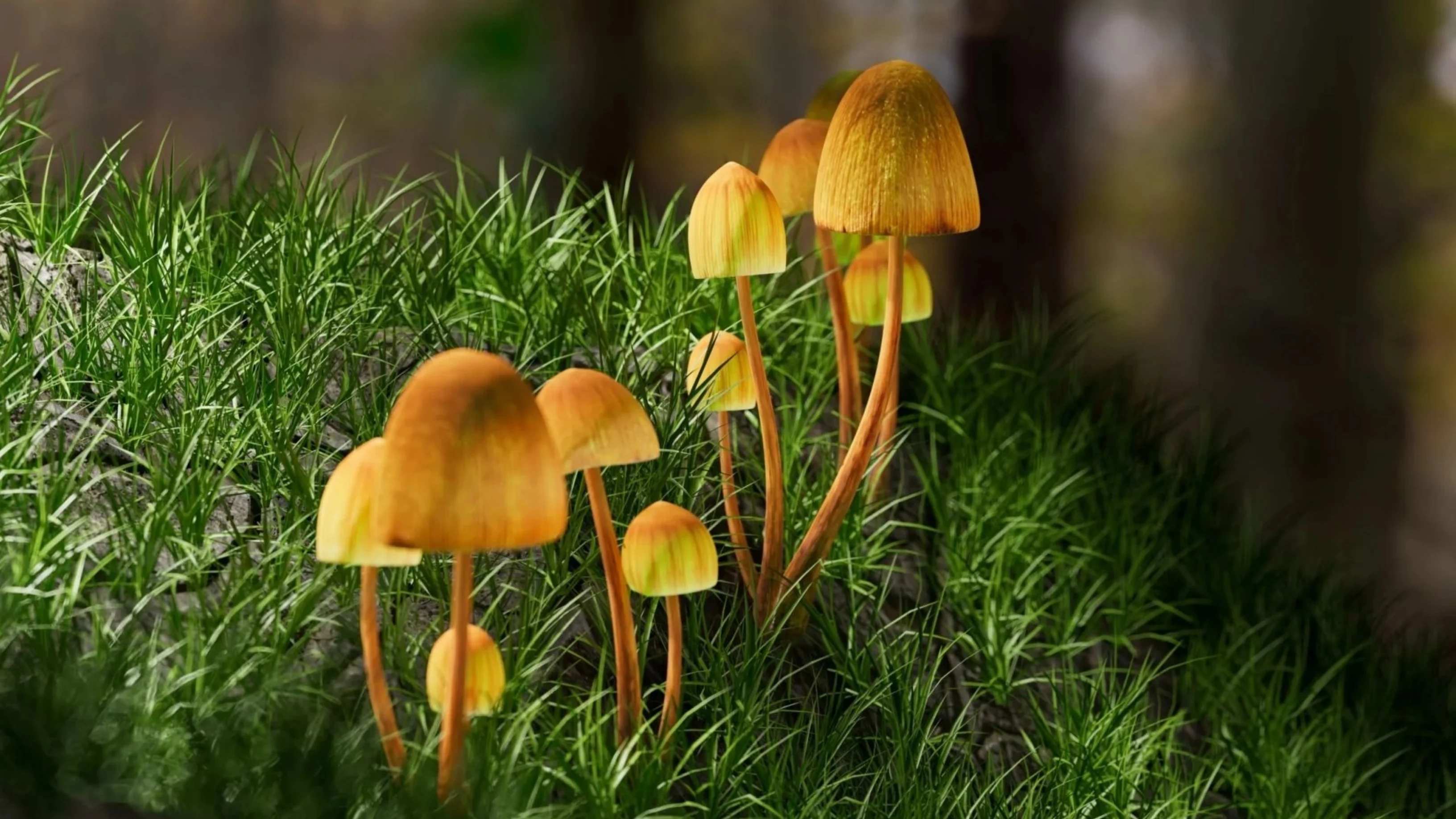 Caryn Lerman: Writing Fiction Led to Study Pscilocybin in the Lab 2 Caryn Lerman: Writing Fiction Led to Study Pscilocybin in the Lab