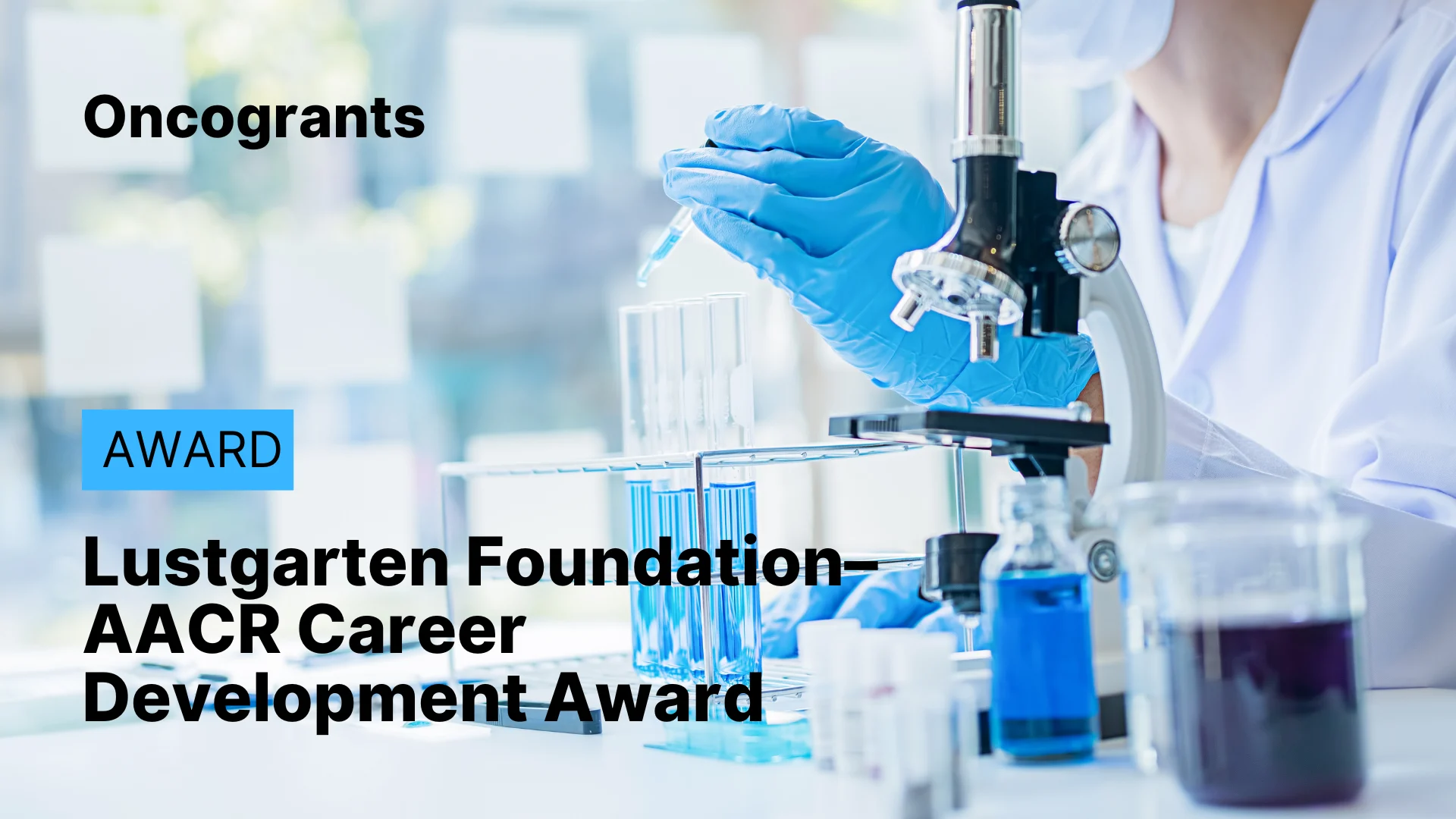 Lustgarten Foundation–AACR Career Development Award