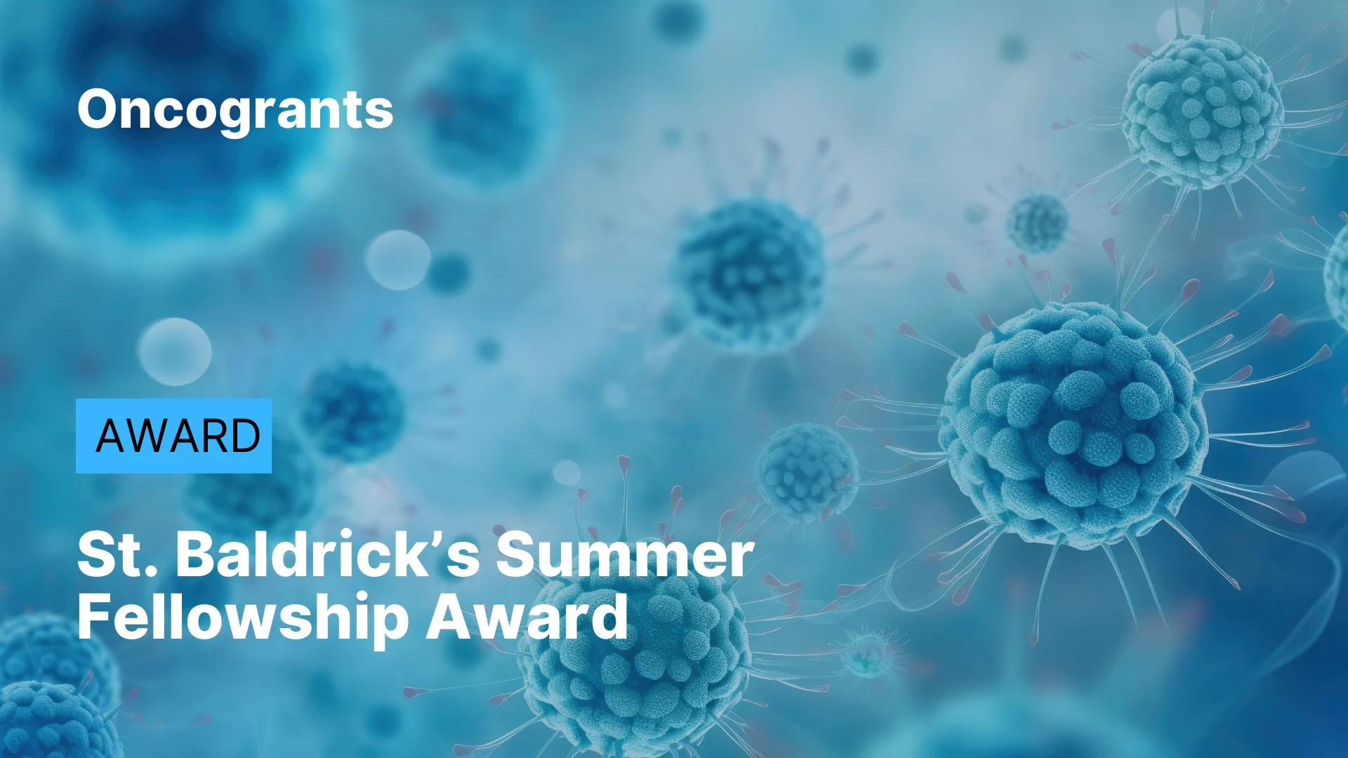St. Baldrick’s Summer Fellowship Award