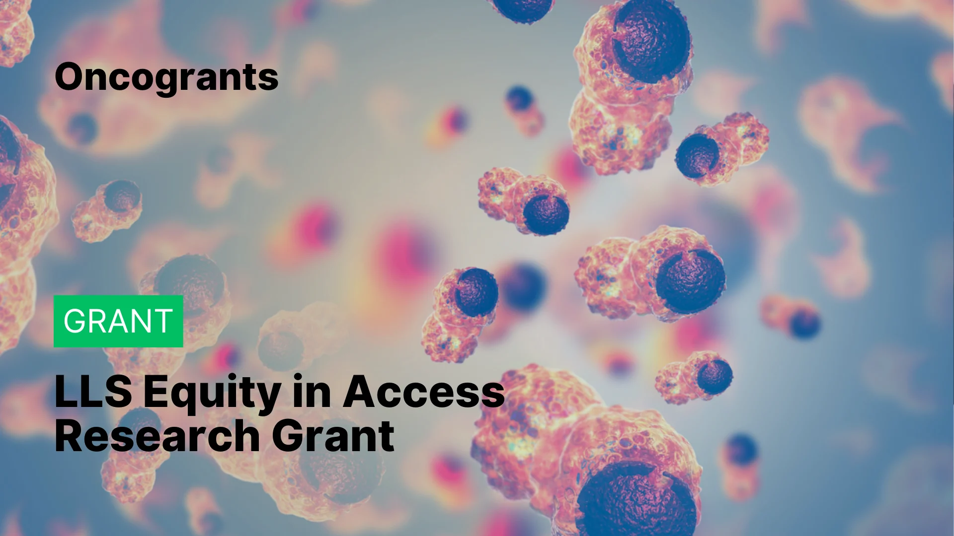LLS Equity in Access Research Grant