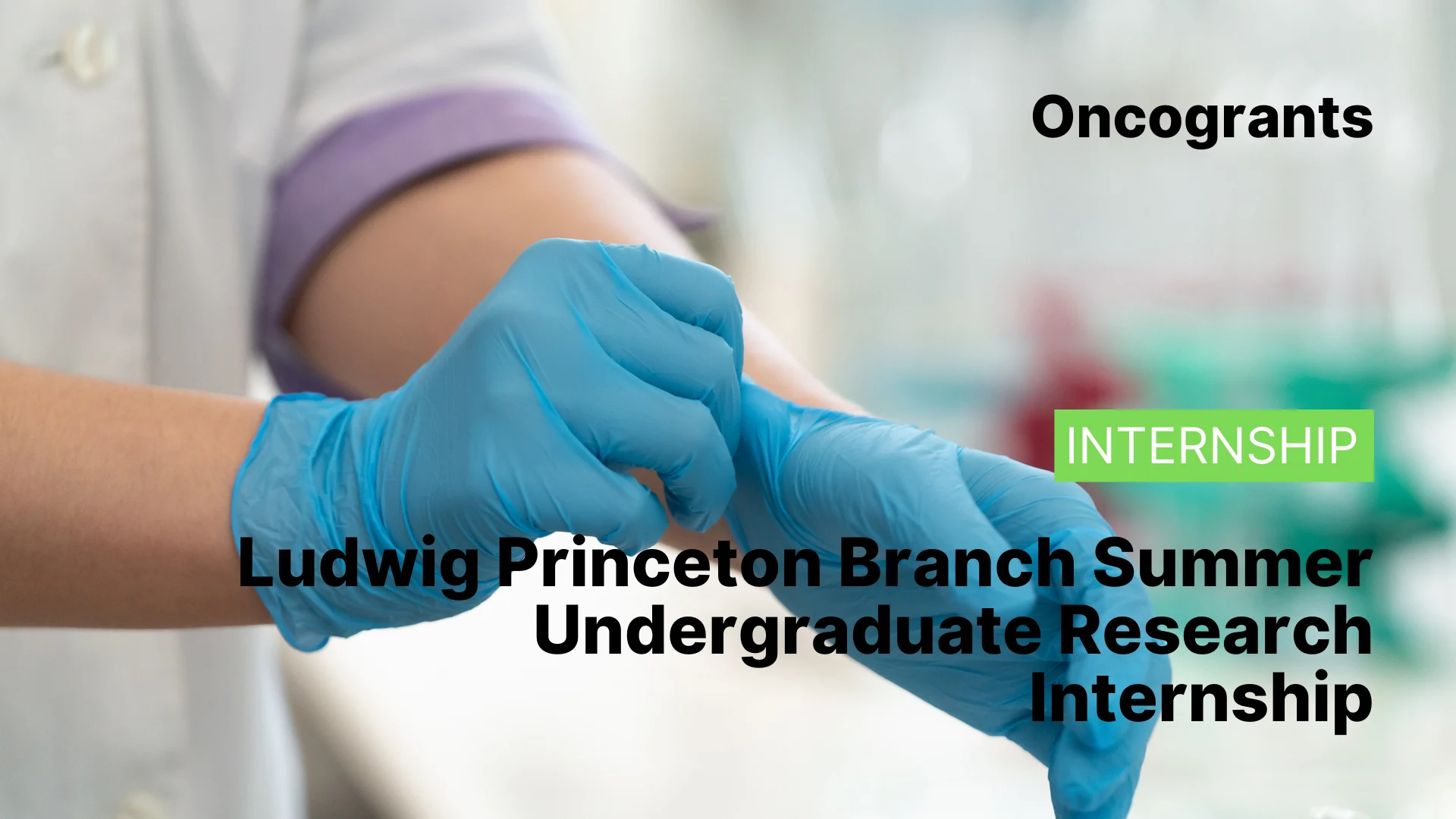 Ludwig Princeton Branch Summer Undergraduate Research Internship