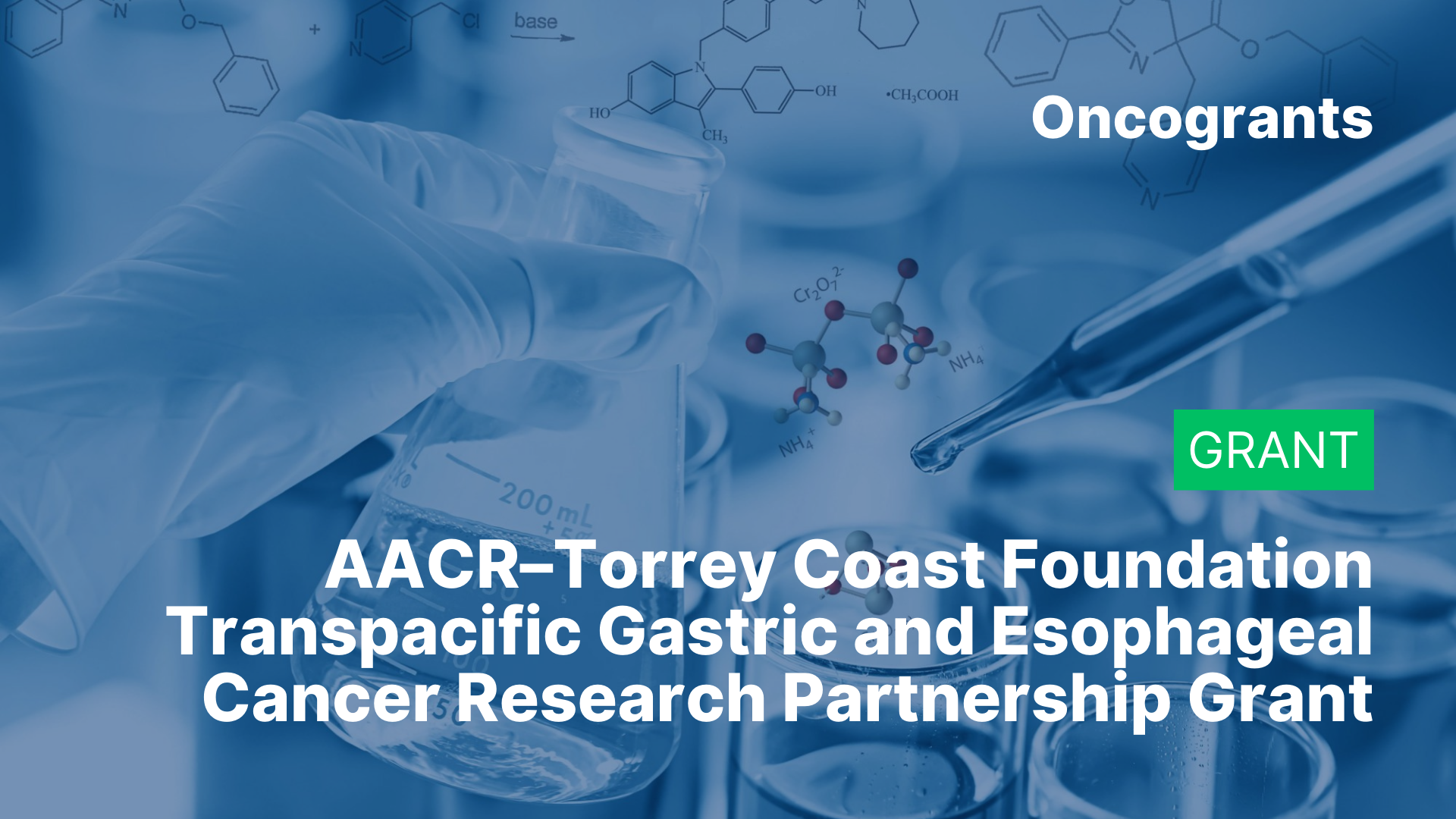 AACR–Torrey Coast Foundation Transpacific Gastric and Esophageal Cancer Research Partnership Grant