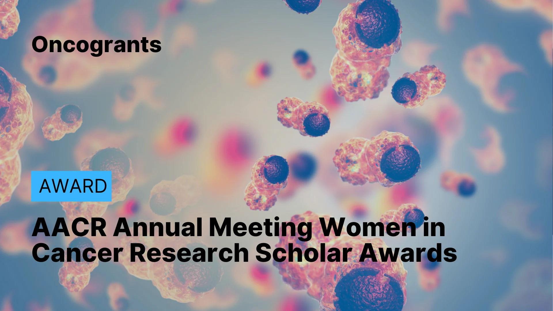 AACR Annual Meeting Women in Cancer Research Scholar Awards