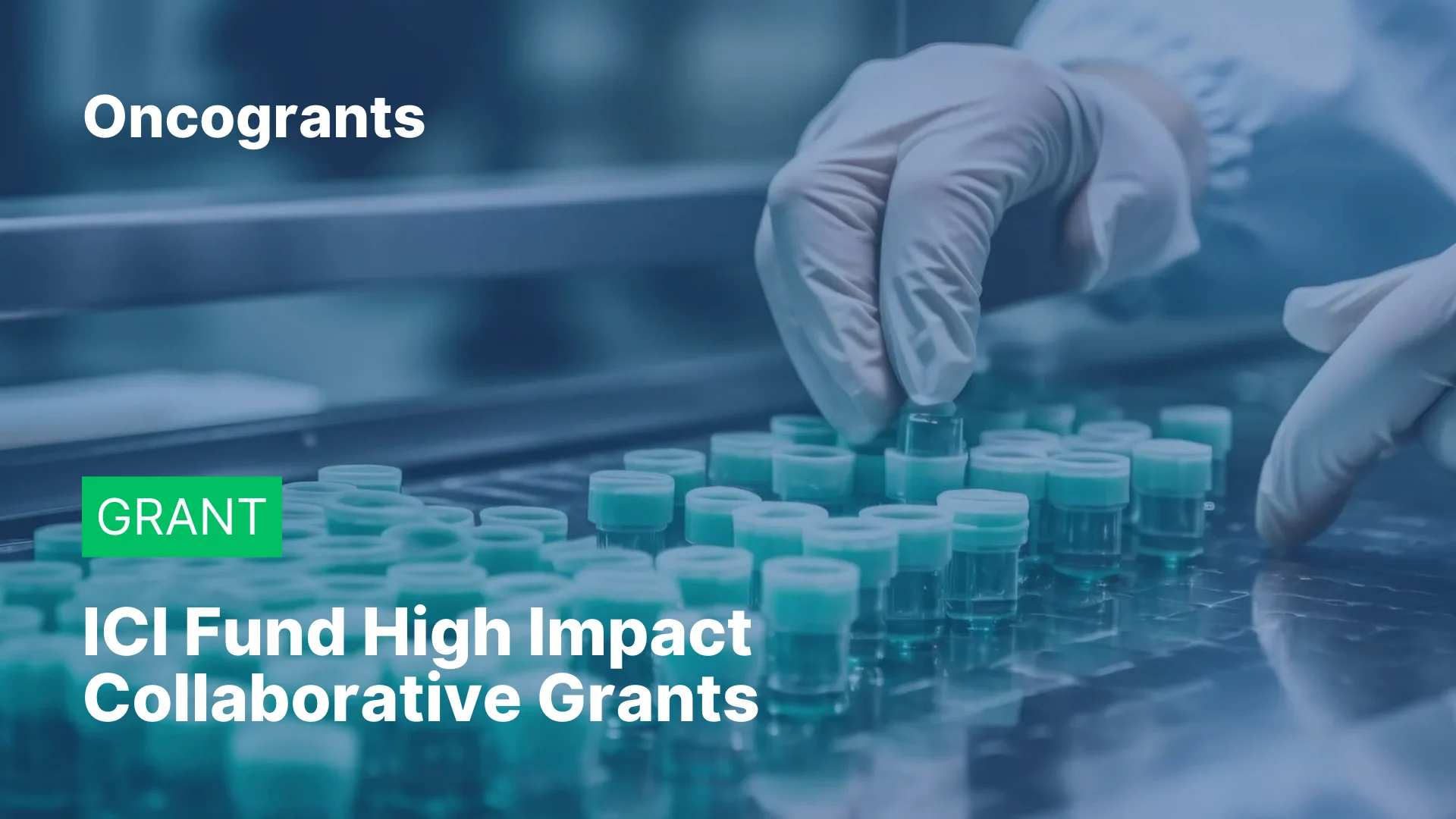 ICI Fund High Impact Collaborative Grants
