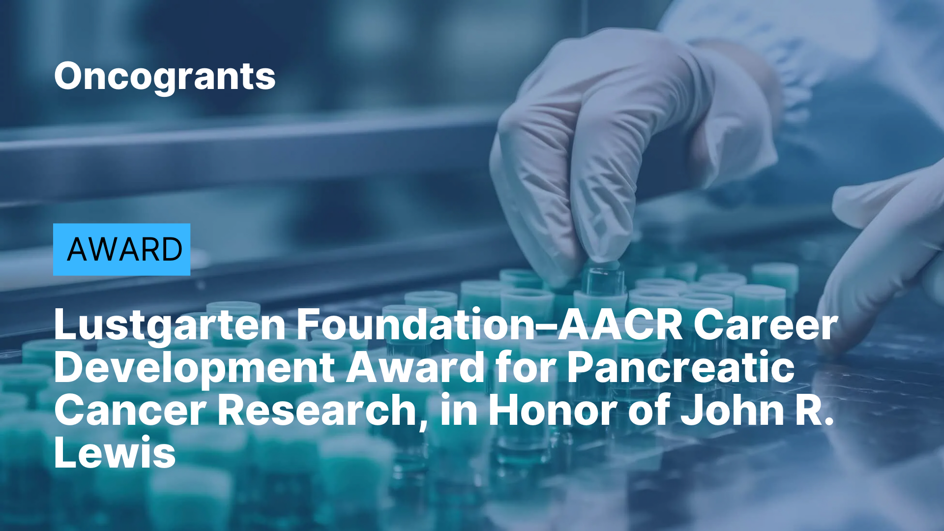 Lustgarten Foundation–AACR Career Development Award for Pancreatic Cancer Research, in Honor of John R. Lewis