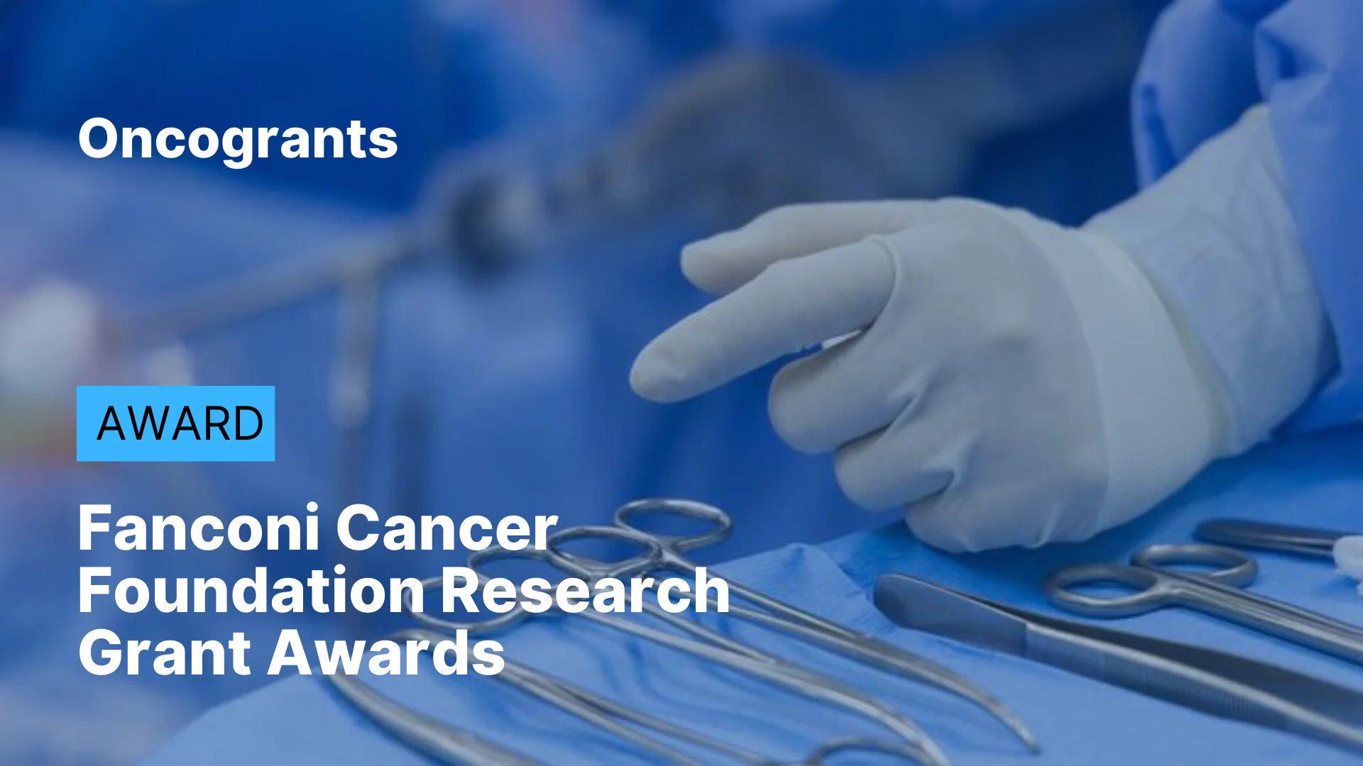 Fanconi Cancer Foundation Research Grant Awards