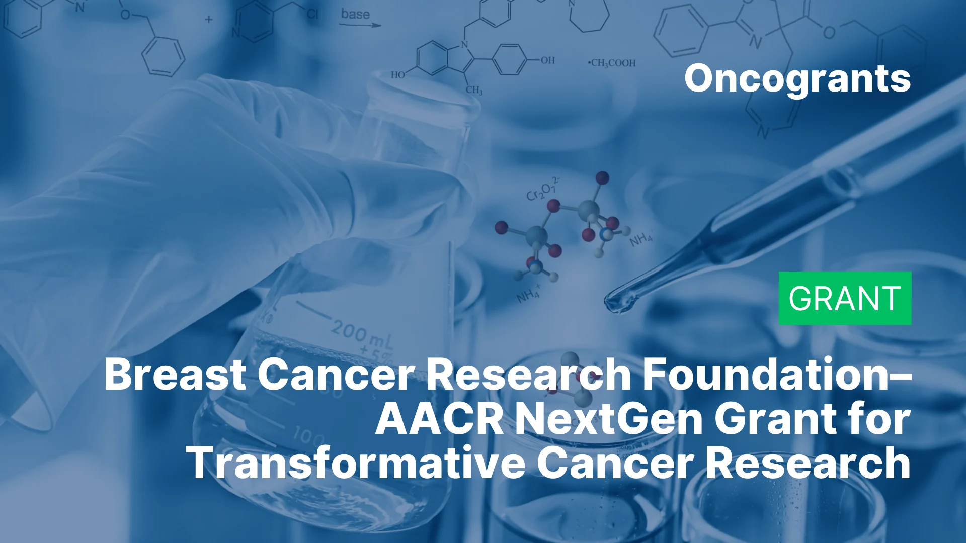Breast Cancer Research Foundation–AACR NextGen Grant for Transformative Cancer Research