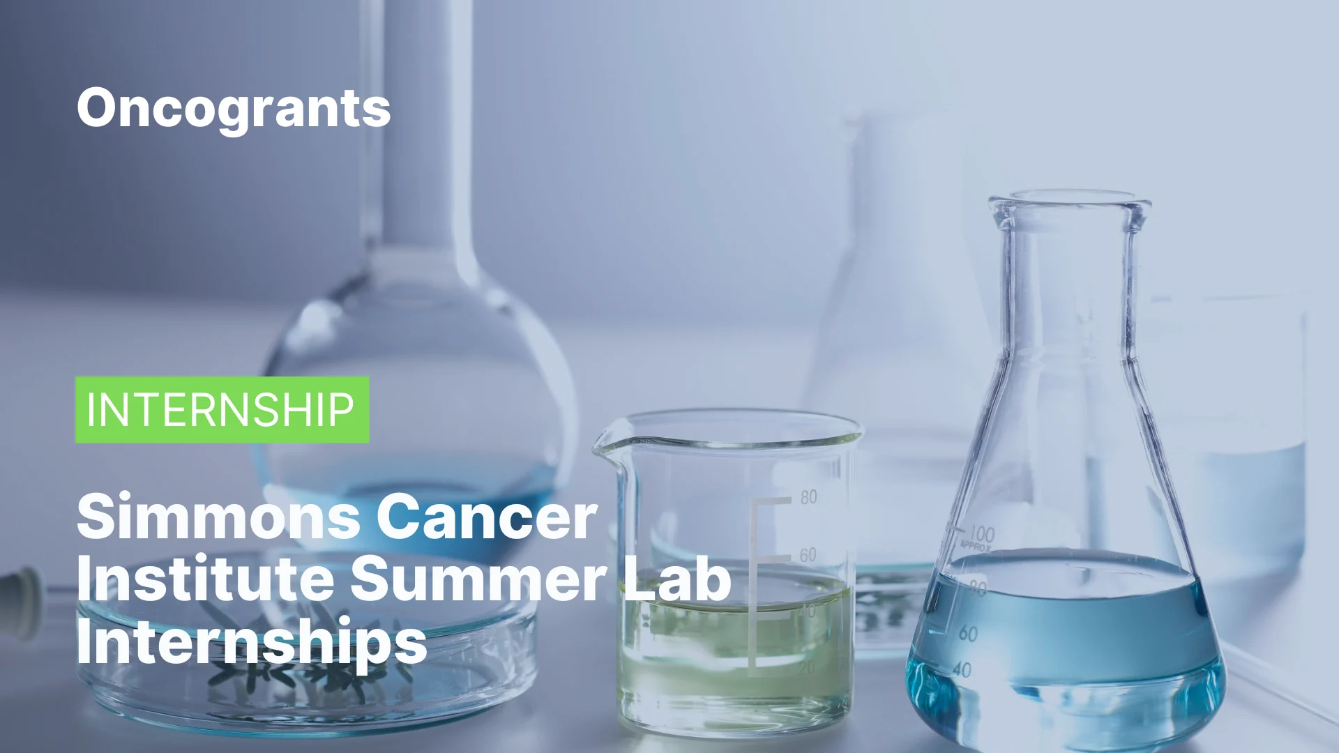 Simmons Cancer Institute Summer Lab Internships