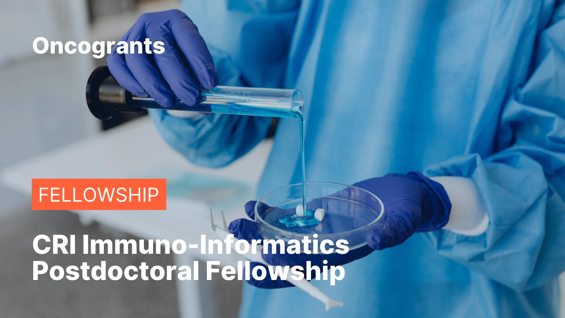 CRI Immuno-Informatics Postdoctoral Fellowship