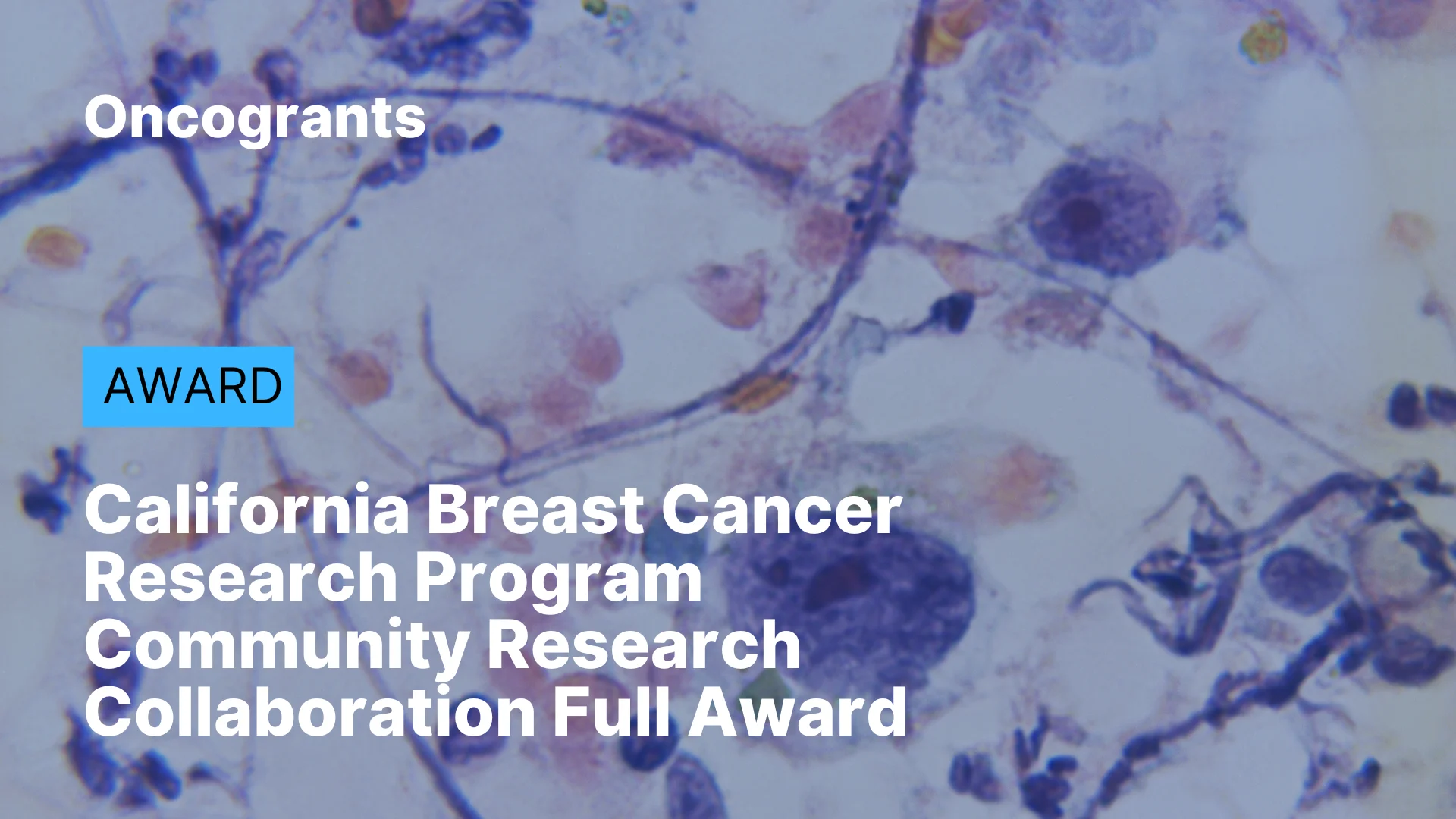 California Breast Cancer Research Program Community Research Collaboration Full Award