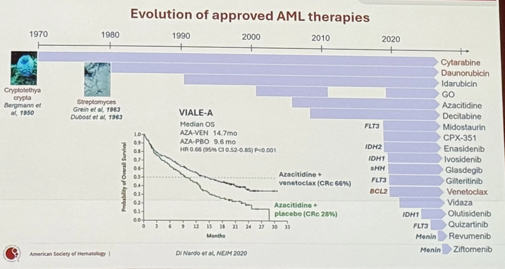 Inside ASH25 with Talha Badar 18 Inside ASH25 with Talha Badar