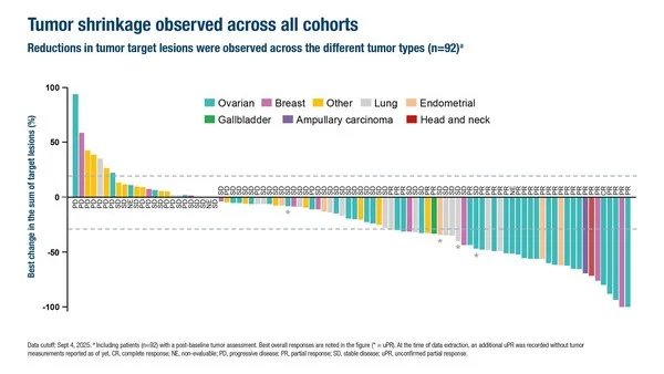 Foxpaws Fauxpas: Have the Gates Been Finally Breached? PYNNACLE Thinks So