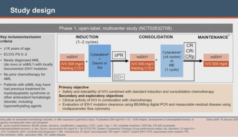 Talha Badar: 3+7 and Ivosidenib in Newly Diagnosed IDH1m AML Conclusion