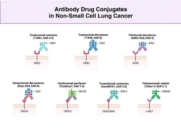 Aakash Desai and Sanad Alhushki Break Down Advances in ADCs for Second-Line NSCLC