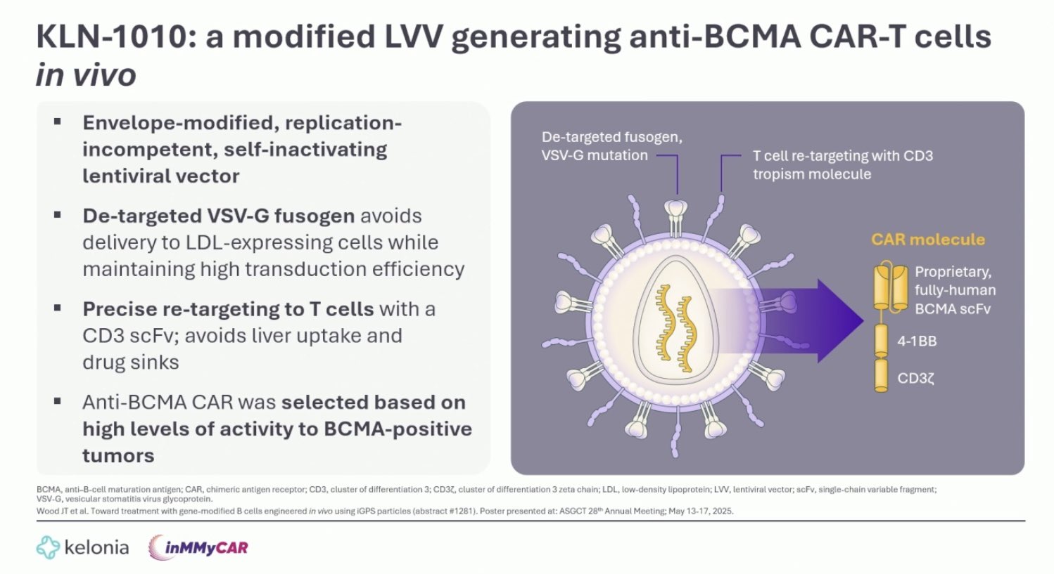 Georgia McCaughan: First Data on KLN-1010 In-Vivo BCMA CAR-T 2 Georgia McCaughan: First Data on KLN-1010 In-Vivo BCMA CAR-T