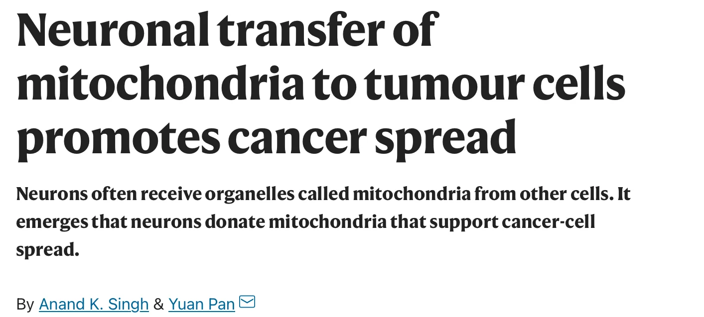 Manuella Godoi: How Cancer Cells Induce Neuronal Mitochondrial Expansion to Fuel Tumor Growth