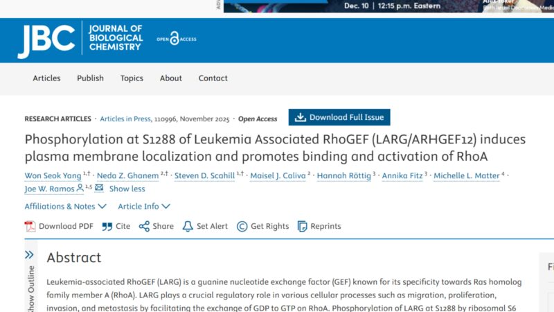 Joe W Ramos: Better Understanding Cancer Invasion Programs 2 Joe W Ramos: Better Understanding Cancer Invasion Programs