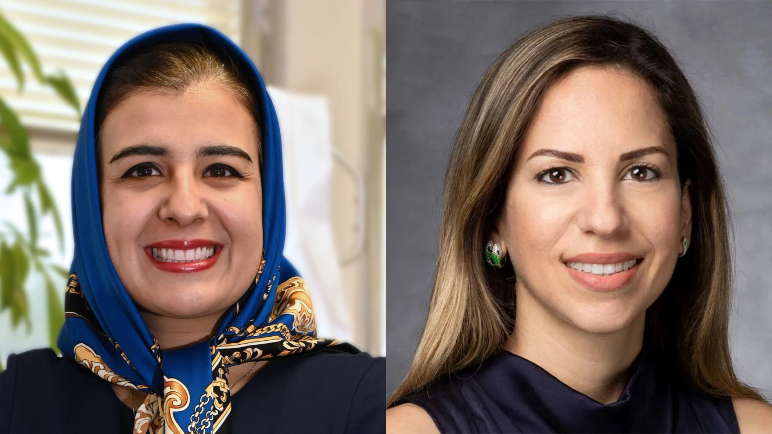 Sara Javidiparsijani