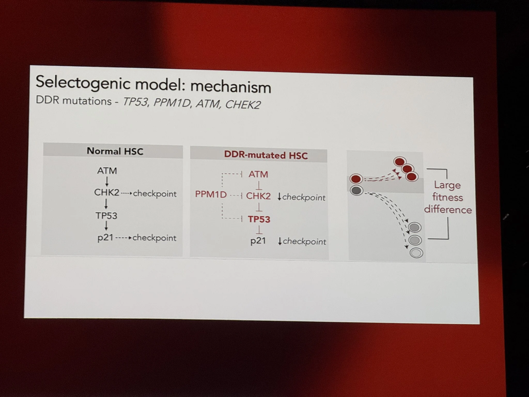 Inside ASH25 with Talha Badar 16 Inside ASH25 with Talha Badar