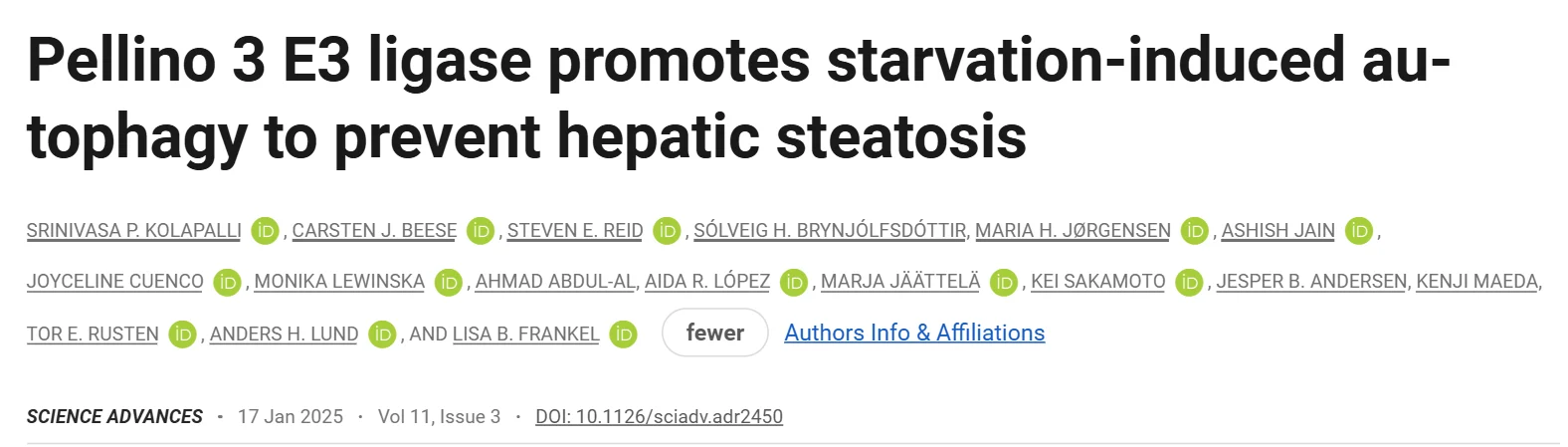 A Key Player in Cellular Recycling and Liver Health - Danish Cancer Institute 2 A Key Player in Cellular Recycling and Liver Health - Danish Cancer Institute