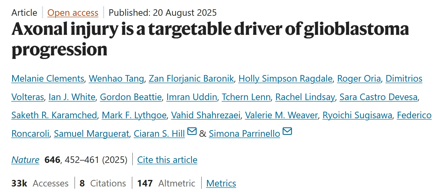 Walid Kamoun: The Interaction between Glioblastoma and the Brain 2 Walid Kamoun: The Interaction between Glioblastoma and the Brain