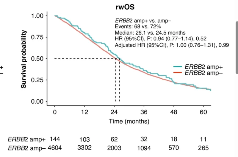 ERBB2-amplified mCRC
