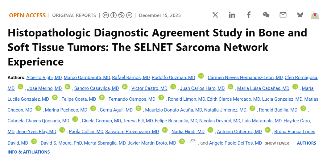 Bruna David: Results From the SELNET Sarcoma Network Experience 2 Bruna David
