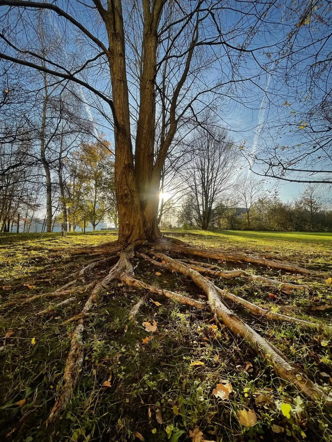 Shreeram Aradhye - Optimism and Resilience – always finding a way