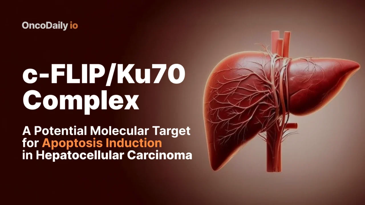 c-FLIP/Ku70 Complex: A Potential Molecular Target for Apoptosis Induction in Hepatocellular Carcinoma