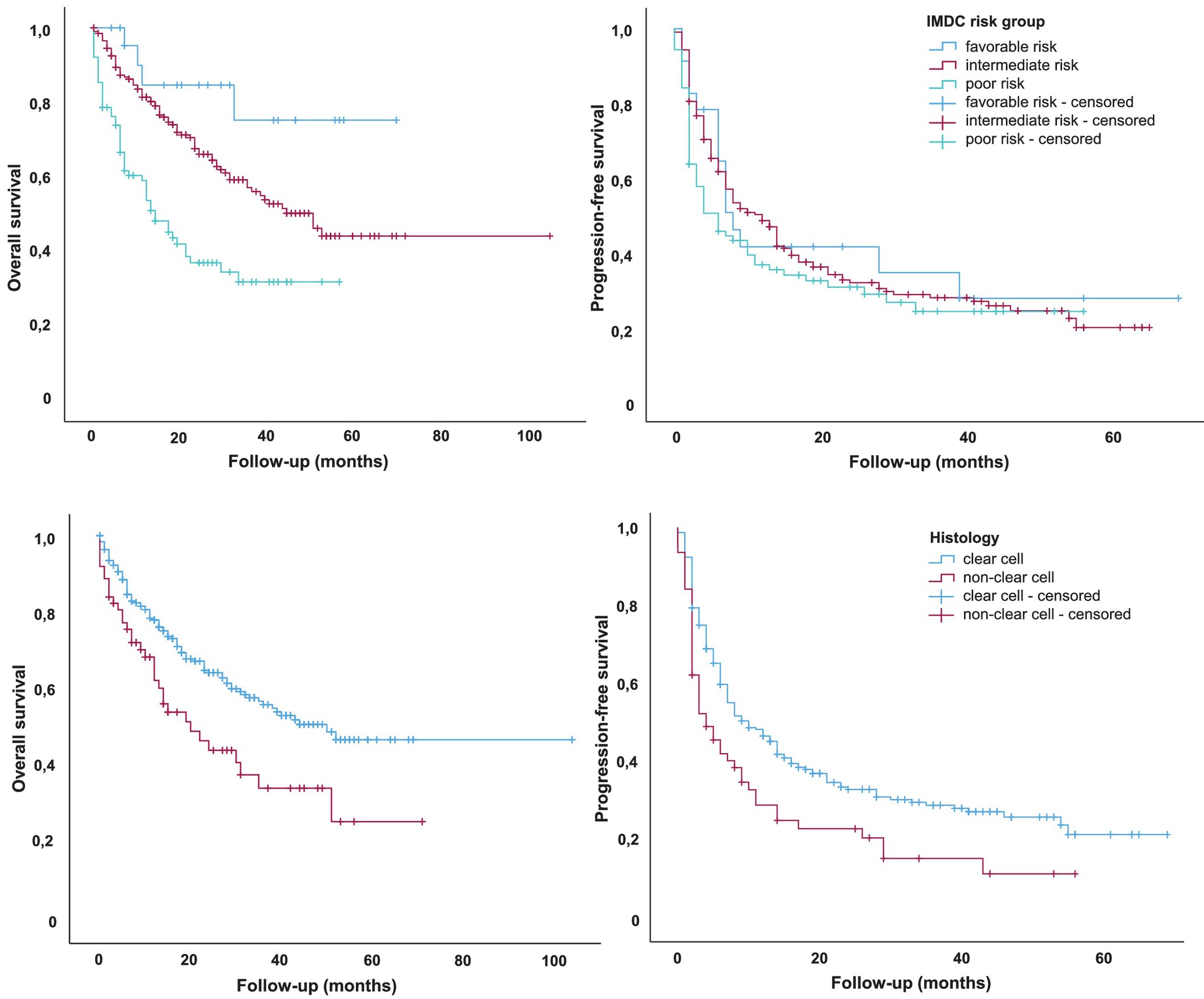 Renal Cell Carcinoma