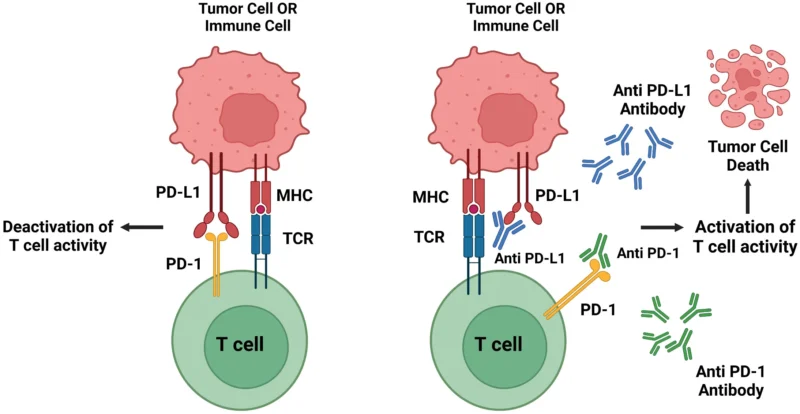 Prolgolimab mechanism of action