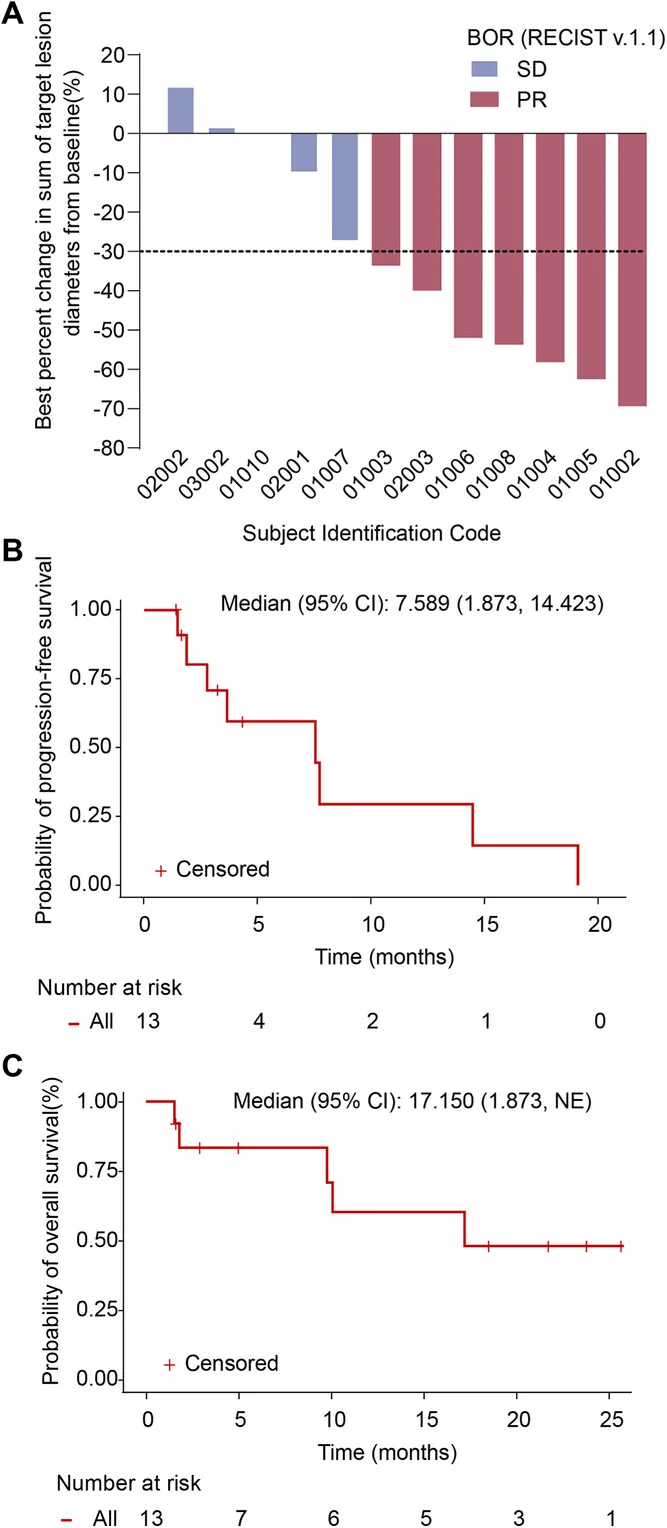 Overcoming Acquired PD-1 Resistance in NSCLC: Tislelizumab + Sitravatinib + Docetaxel 2 NSCLC