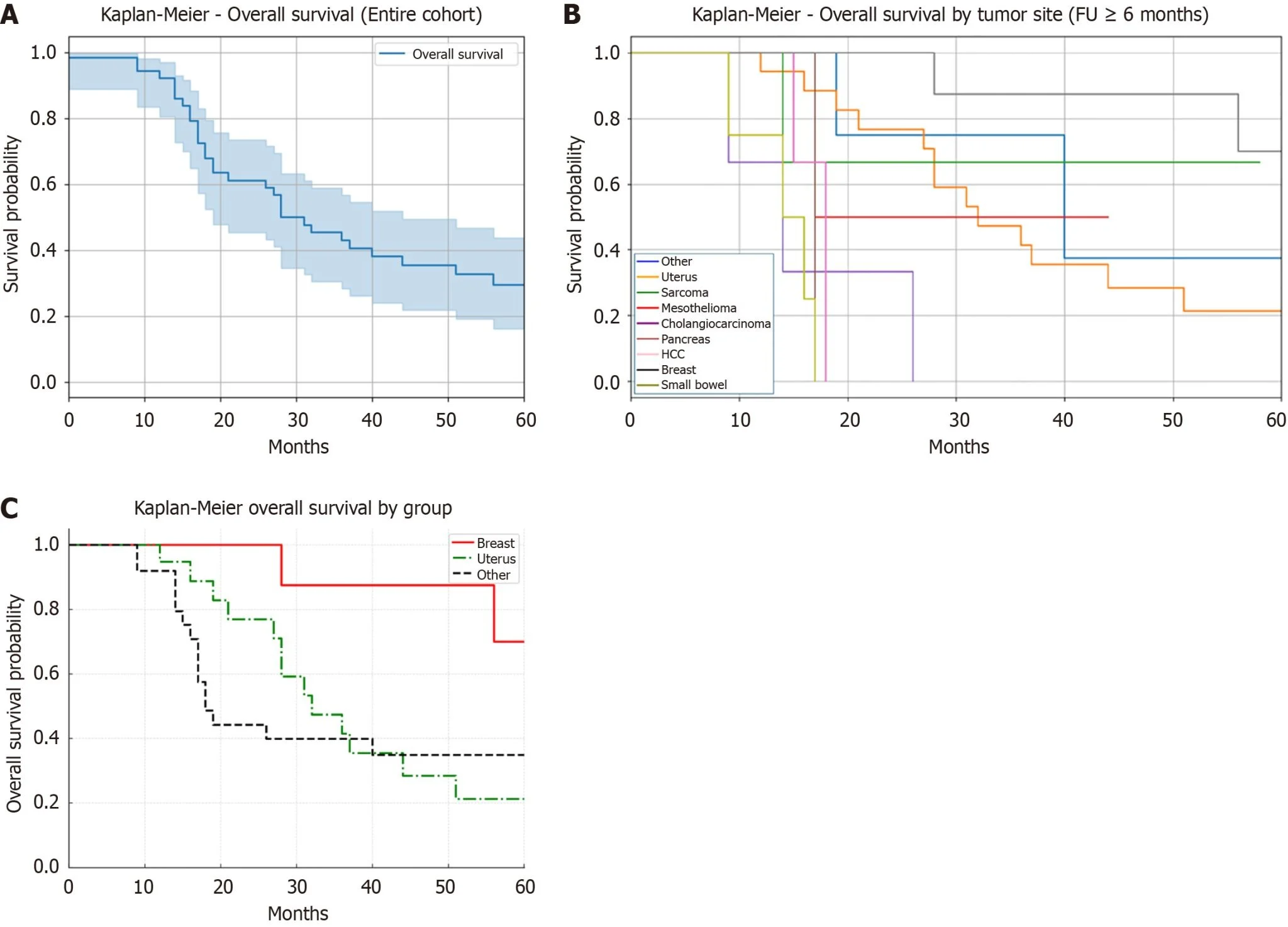 Antonio Sommariva: Selected Surgery and HIPEC Show Promise in Rare Peritoneal Malignancies