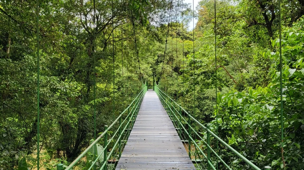 Carmen Monge-Montero