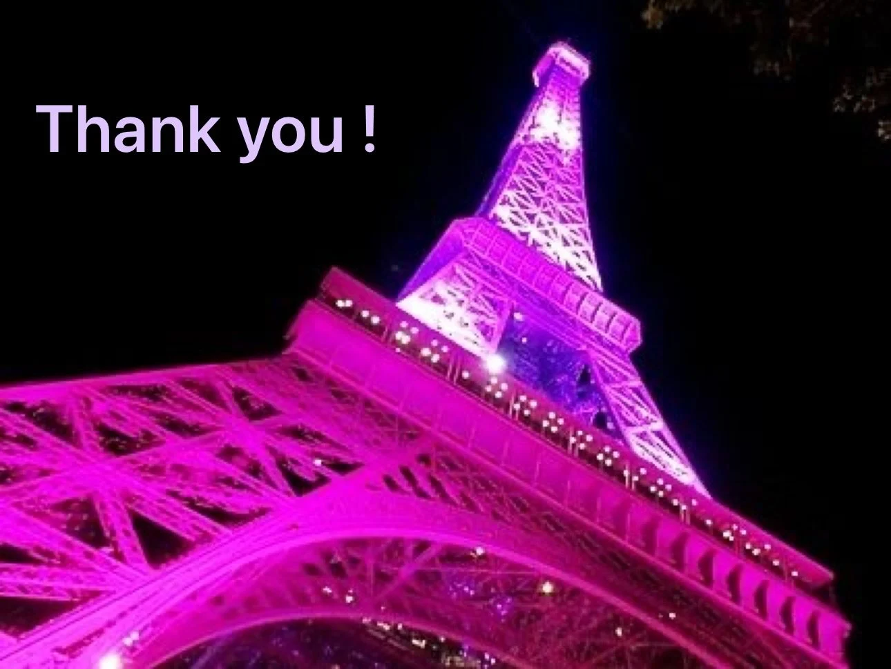 Isabelle Thomassin-Naggara: Honored to Lead Impactful Quality and Safety Progress 2 Isabelle Thomassin-Naggara