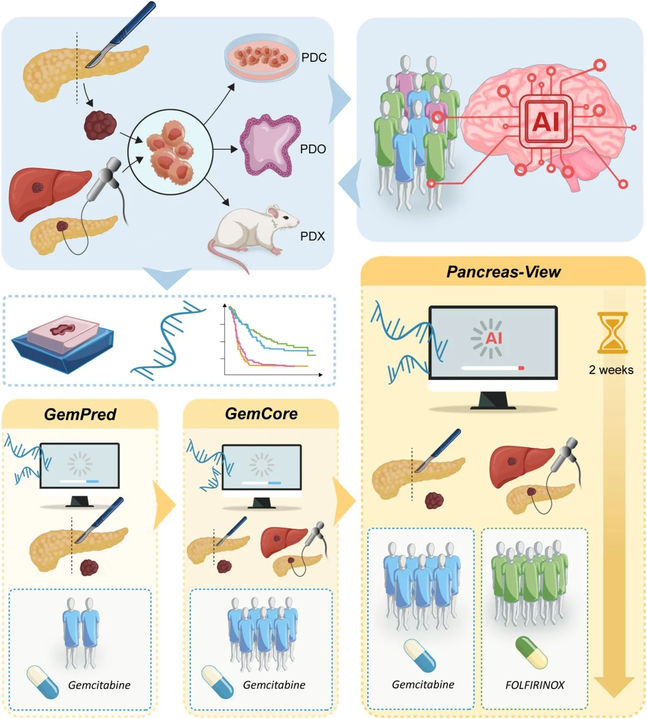 Nelson Dusetti: AI-assisted Transcriptomic signatures in pancreatic ductal adenocarcinoma 2 Nelson Dusetti