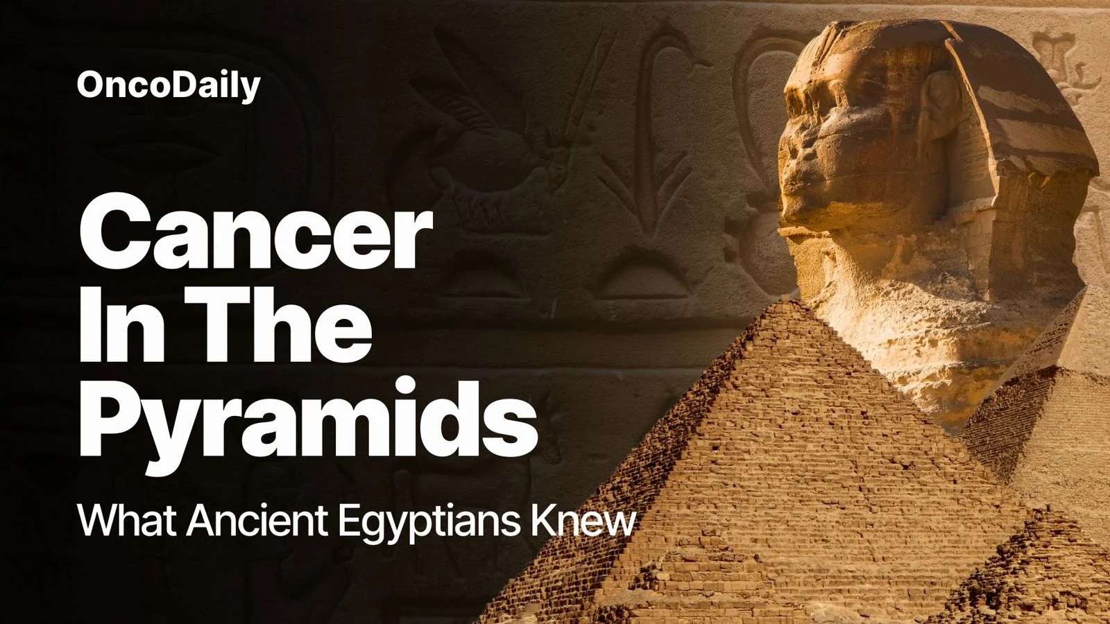 oldest evidence of cancer