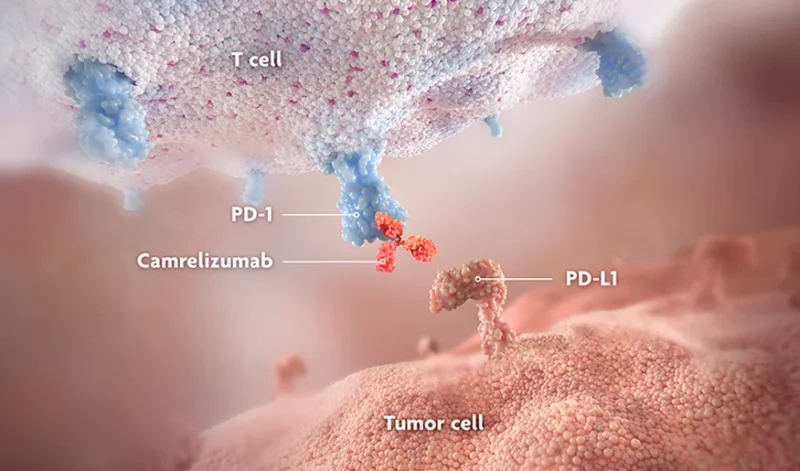 Camrelizumab moa