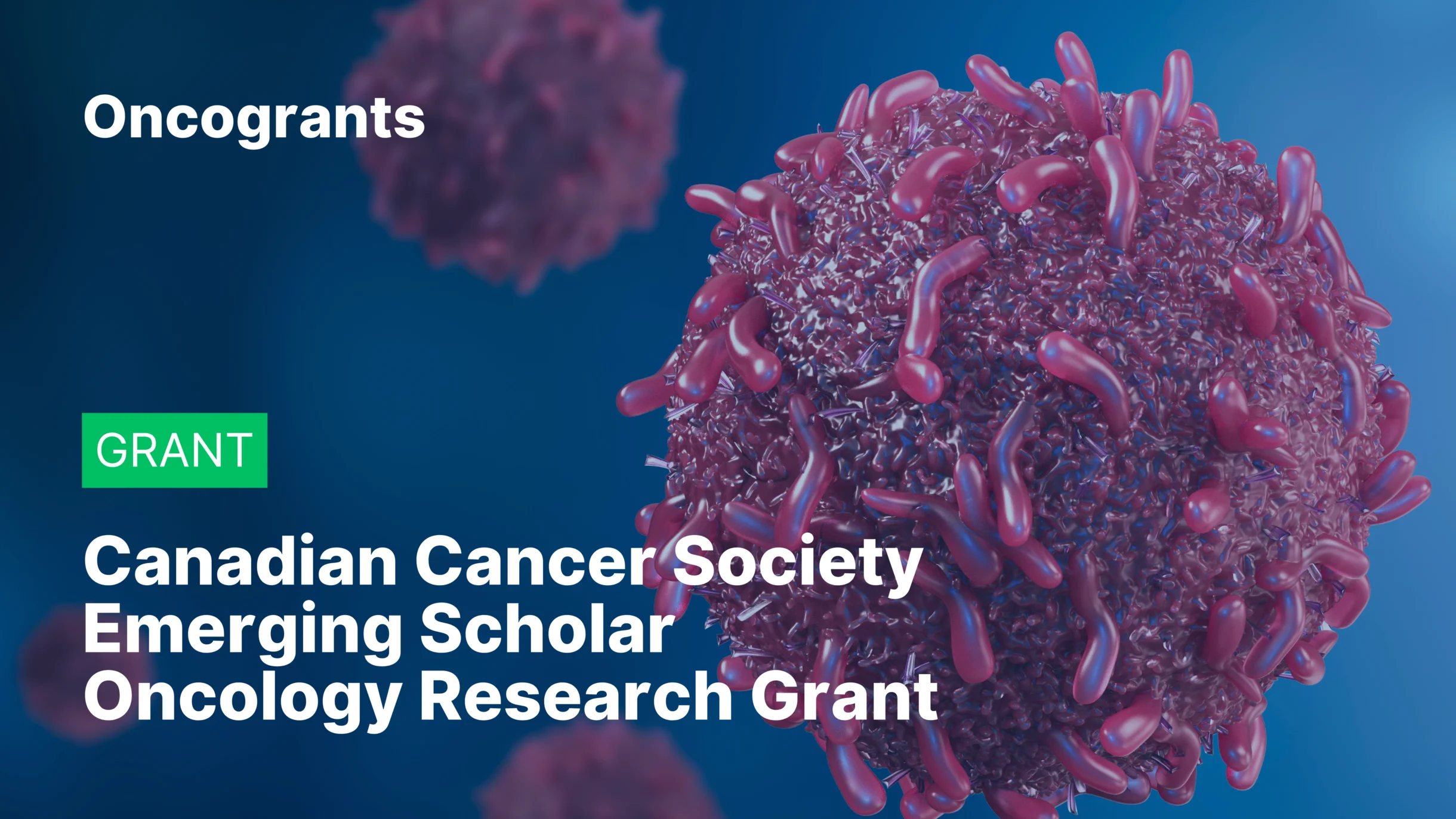Canadian Cancer Society Emerging Scholar Oncology Research Grant