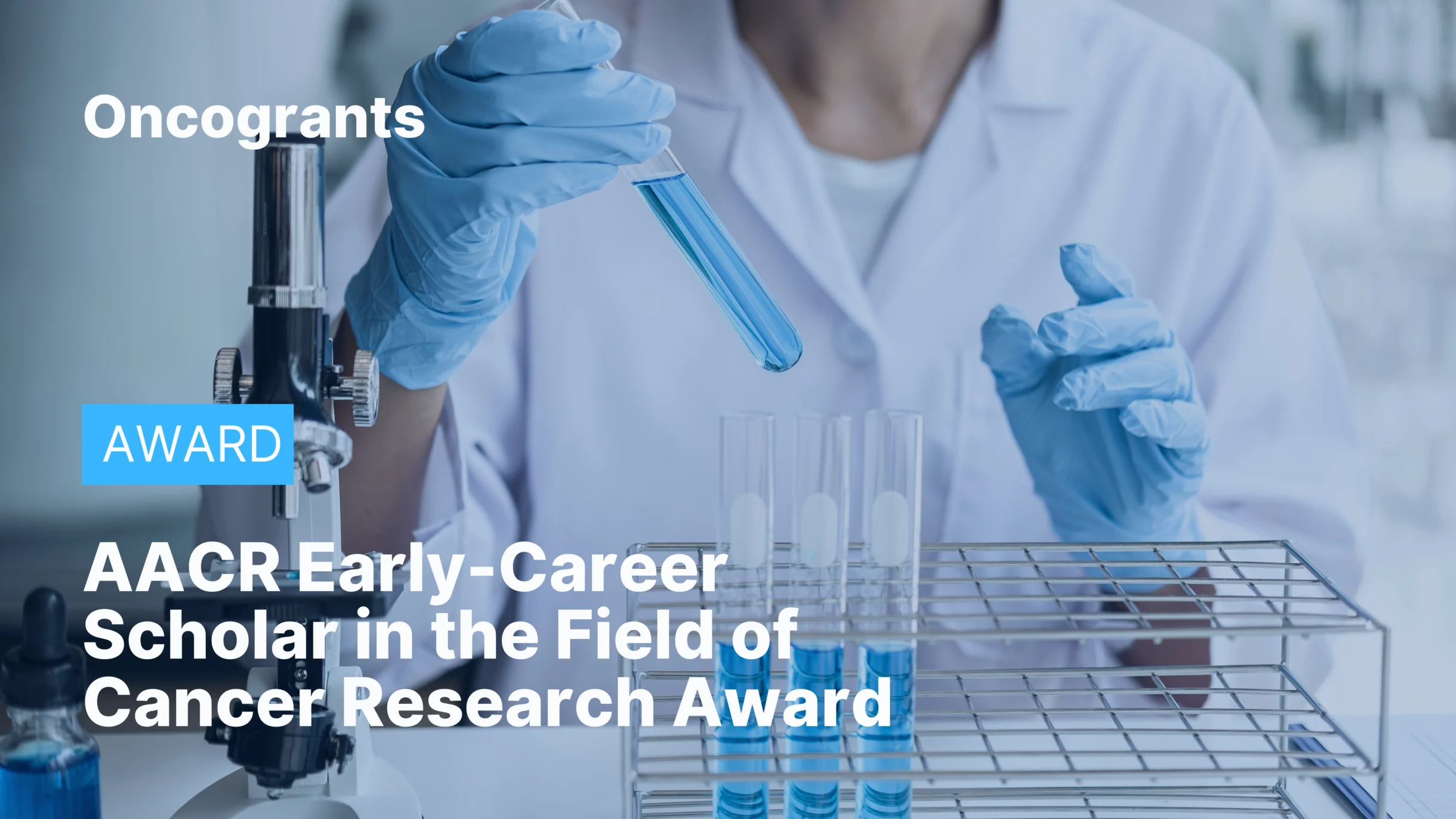 AACR Early-Career Scholar in the Field of Cancer Research Award