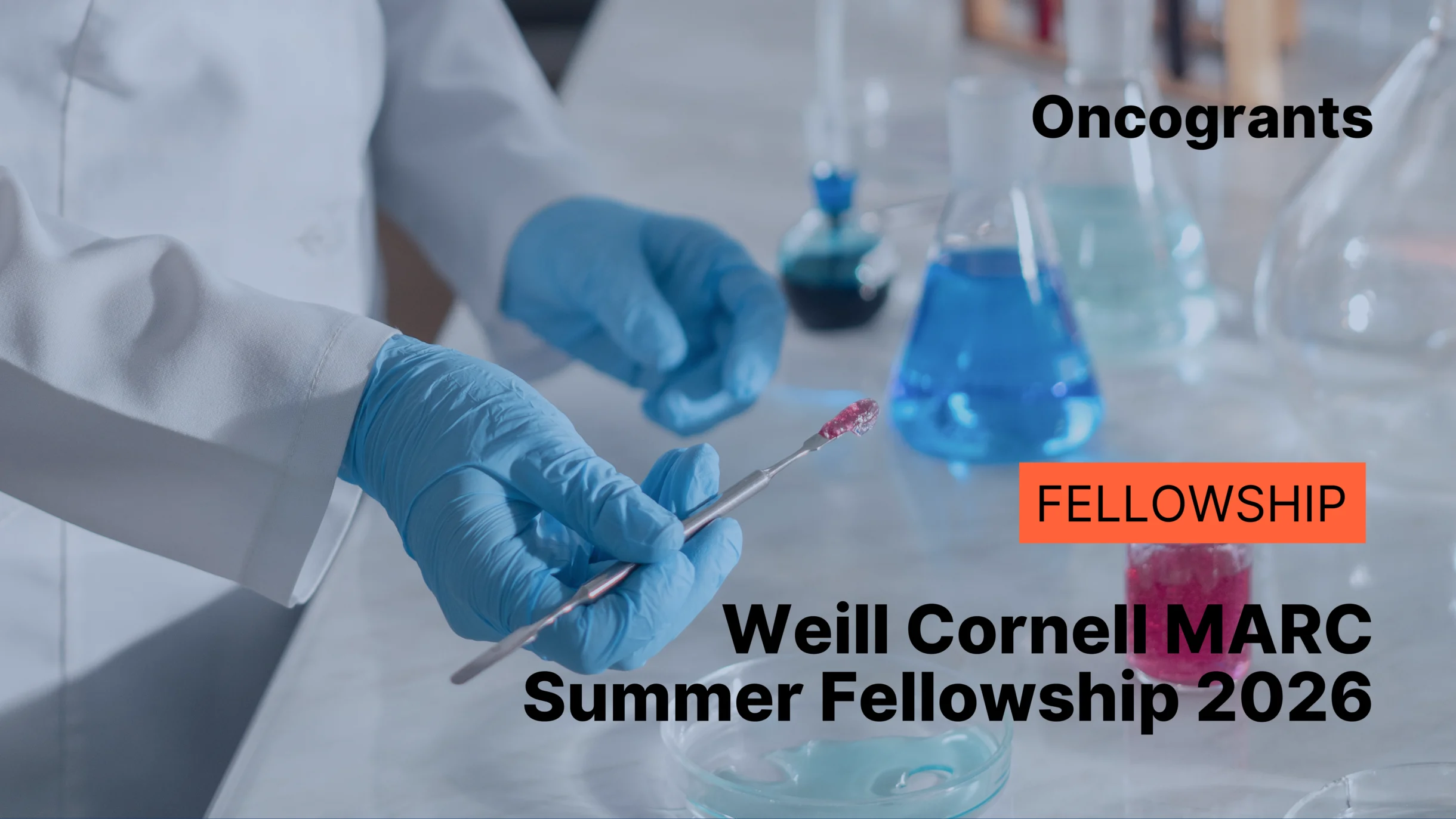 Weill Cornell MARC Summer Fellowship 2026