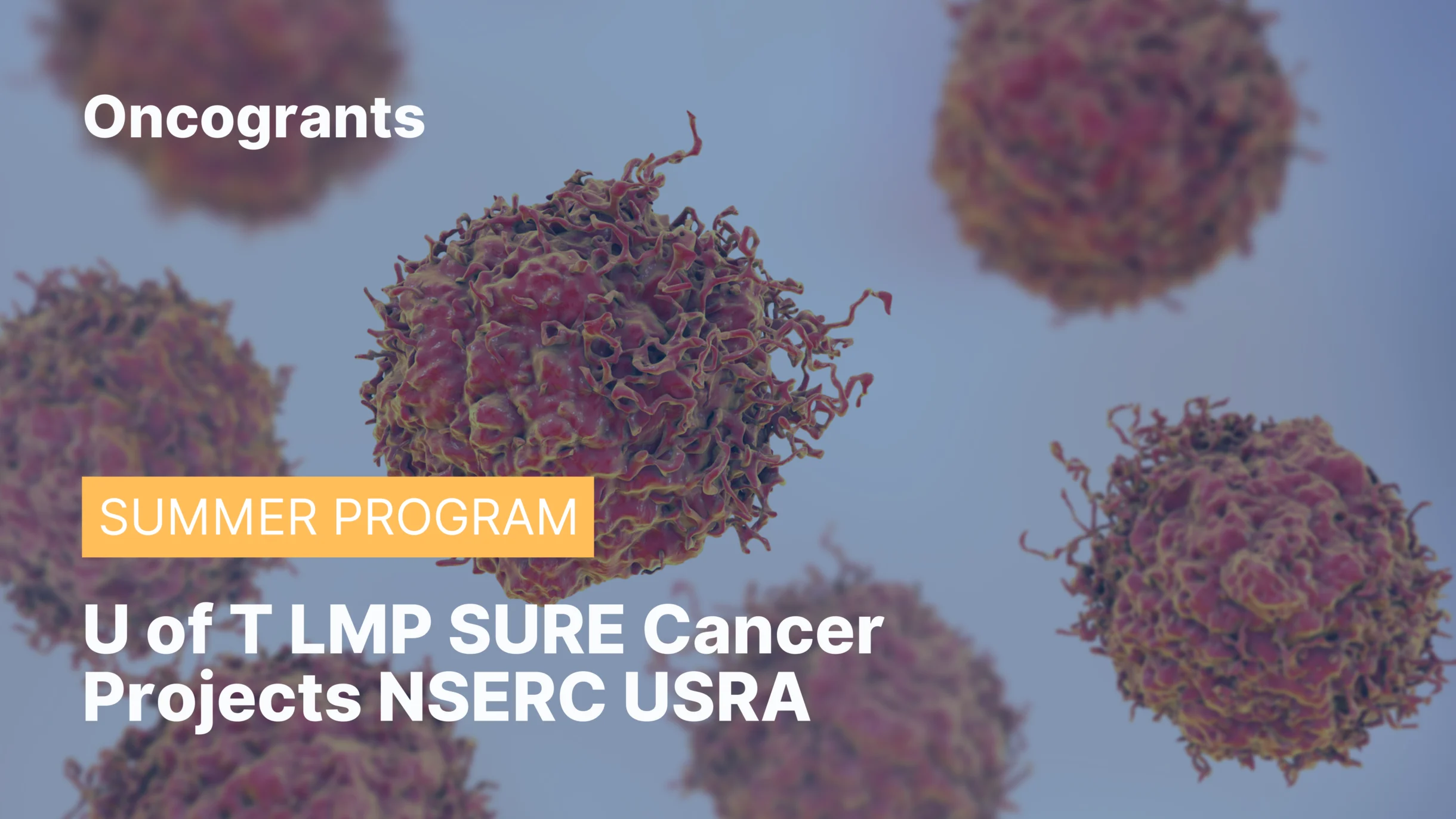 U of T LMP SURE Cancer Projects NSERC USRA