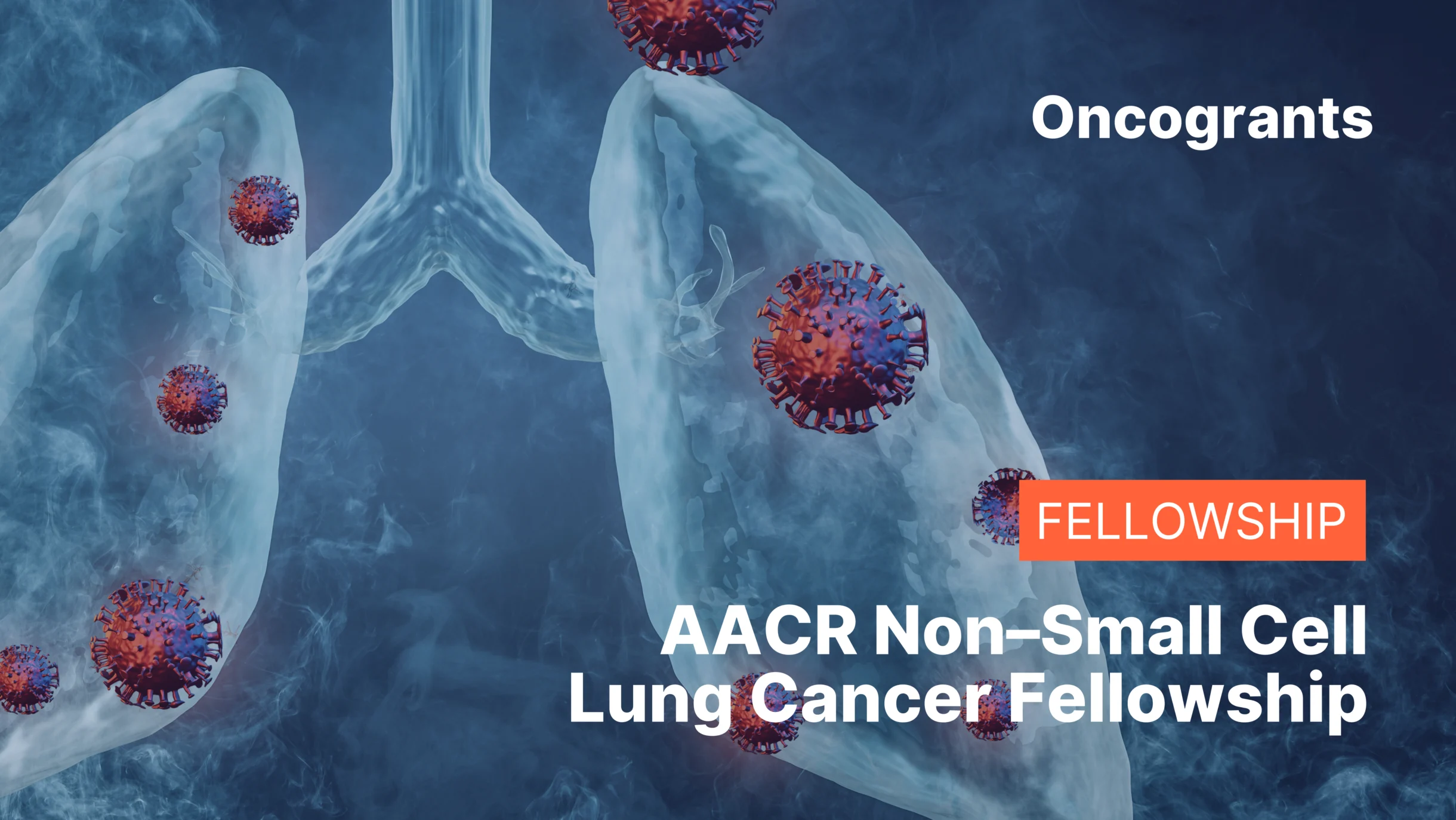 AACR Non–Small Cell Lung Cancer Fellowship
