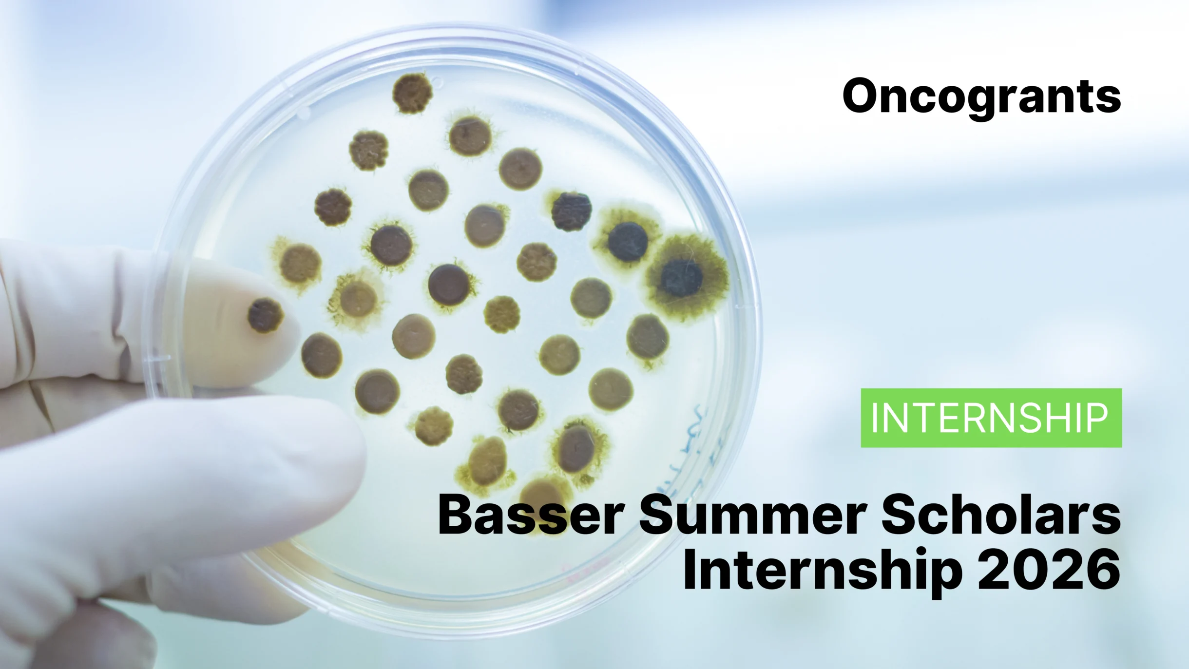 Basser Summer Scholars Internship 2026