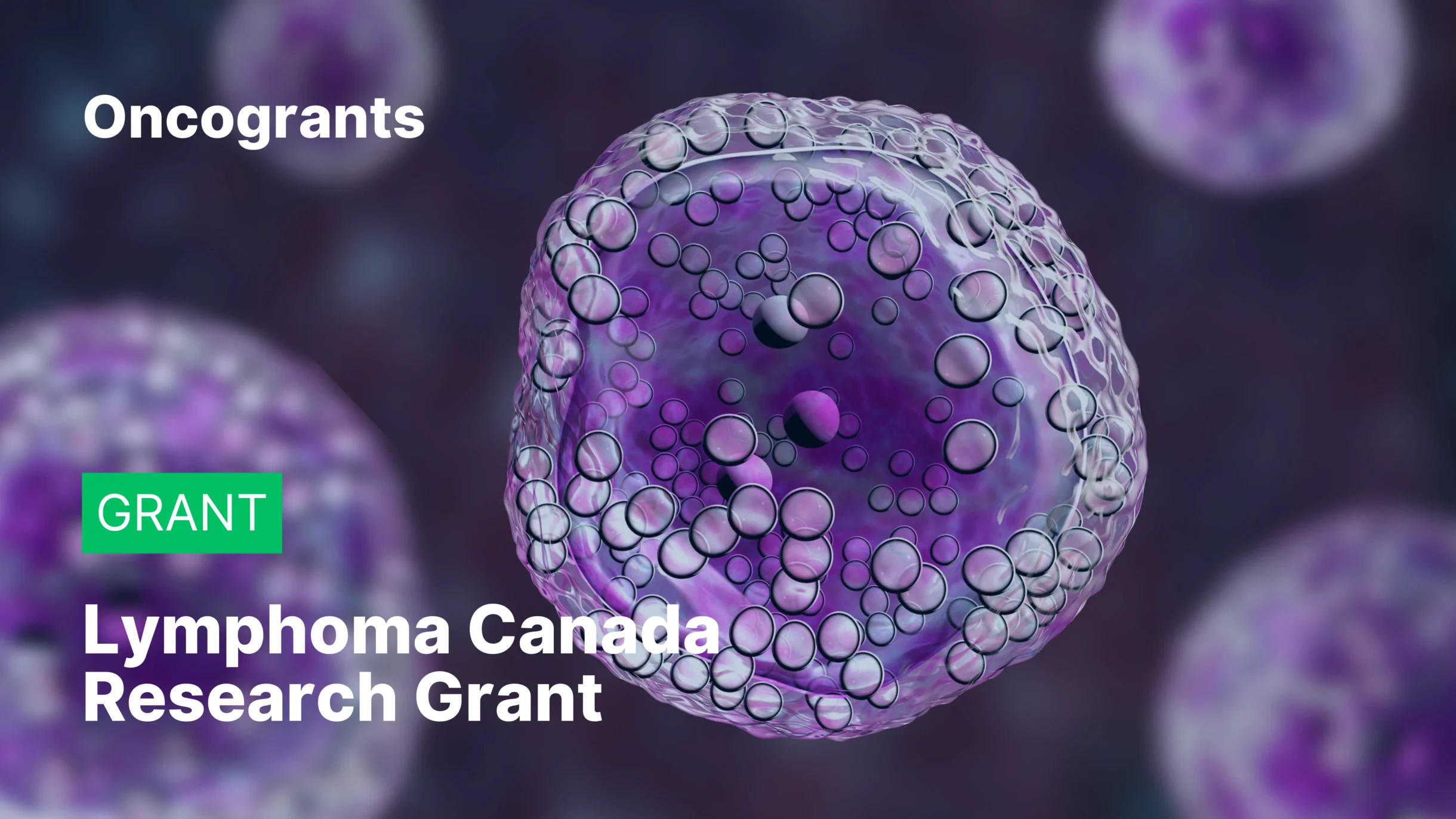 Lymphoma Canada Research Grant 2026 Oncology Funding