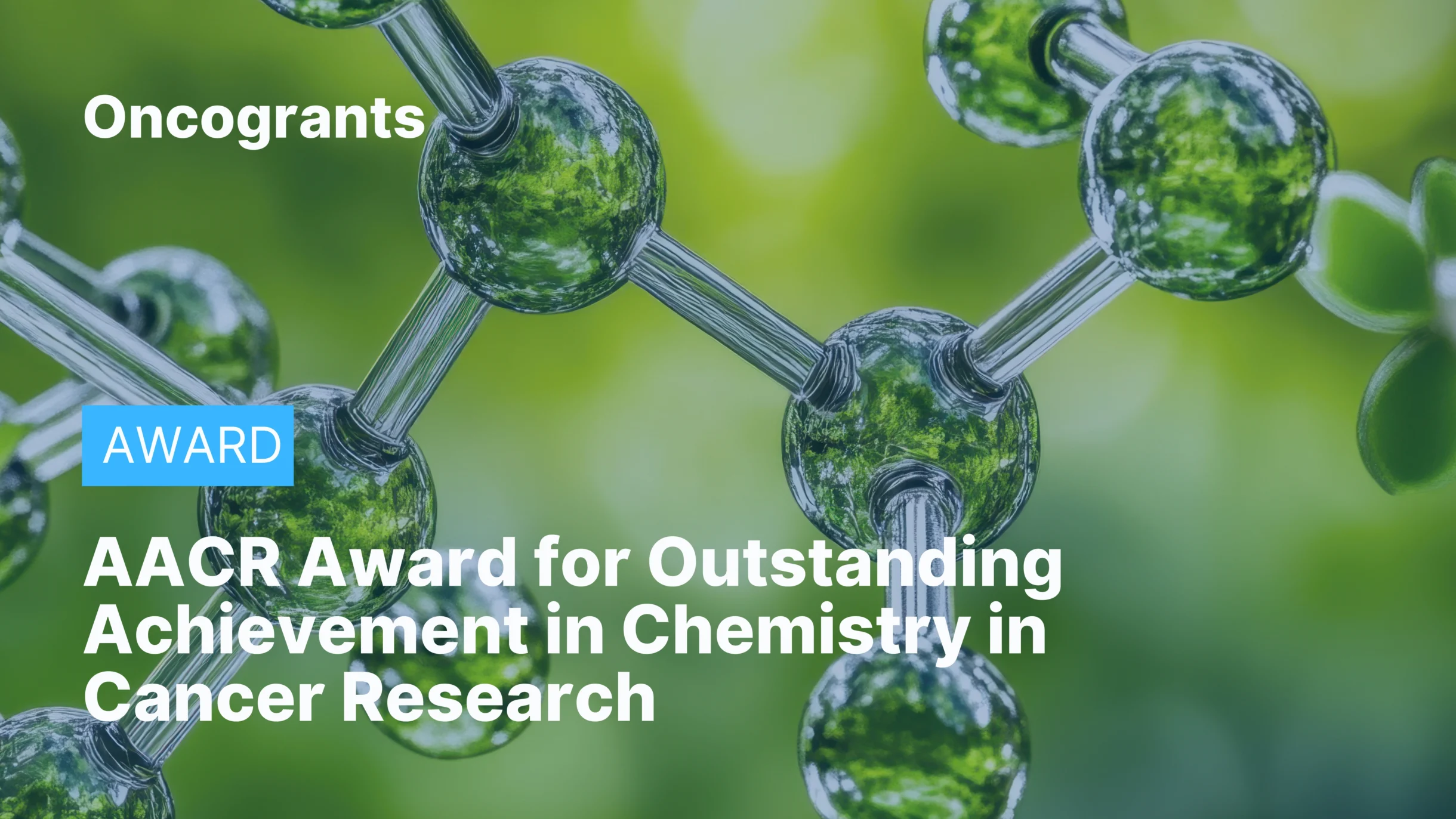 AACR Award for Outstanding Achievement in Chemistry in Cancer Research