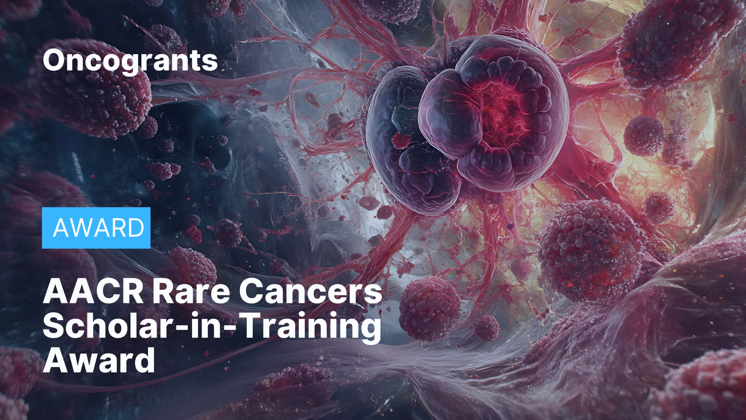 AACR Rare Cancers Scholar-in-Training Award
